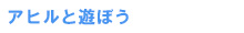 アヒルと遊ぼう